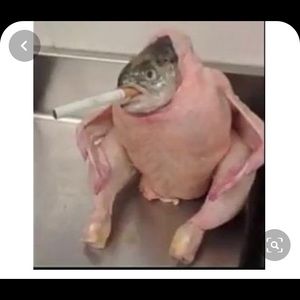 Meet your Posher, Angelo